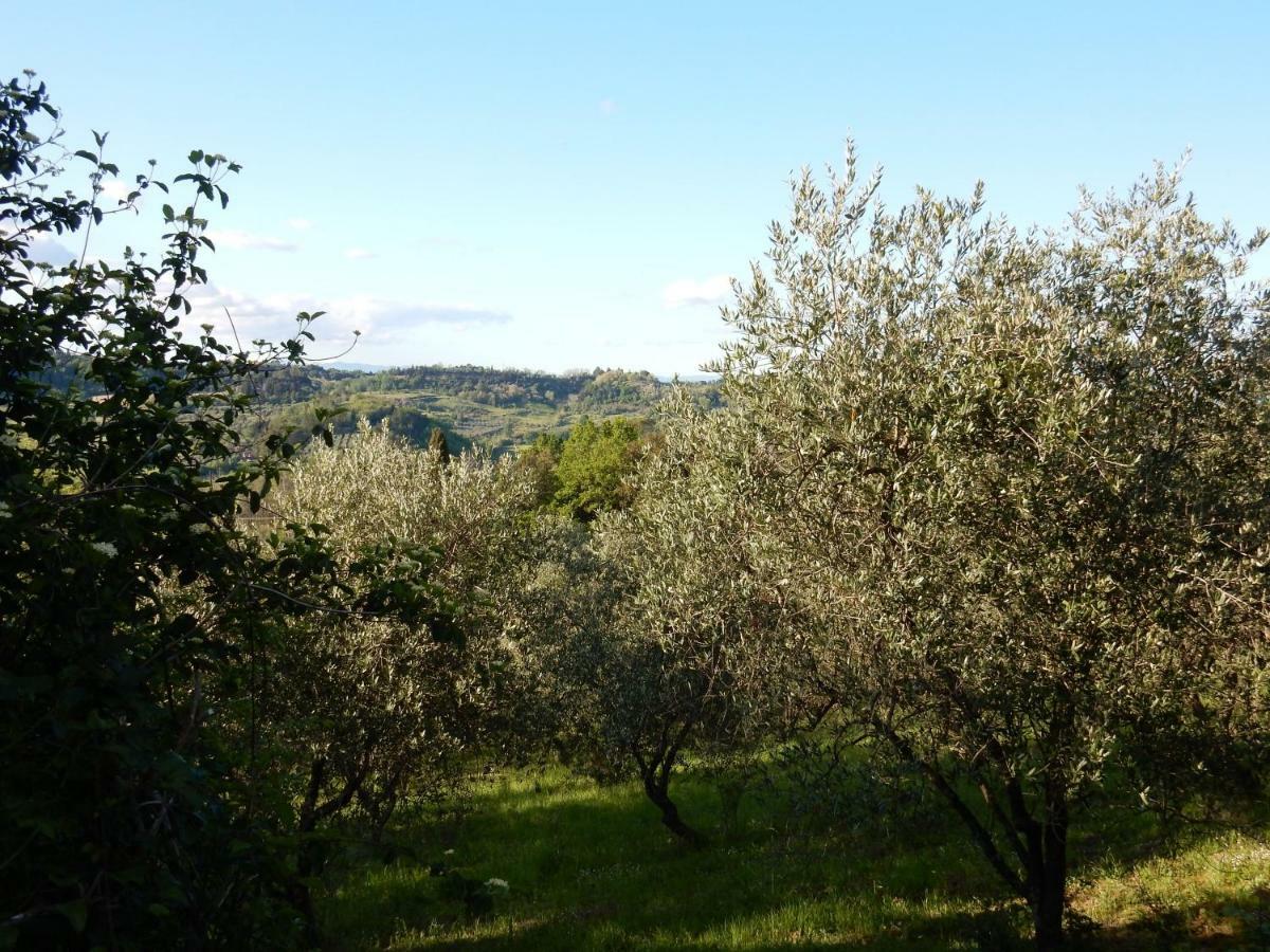 Agriturismo Anna-Rosa Legoli Extérieur photo